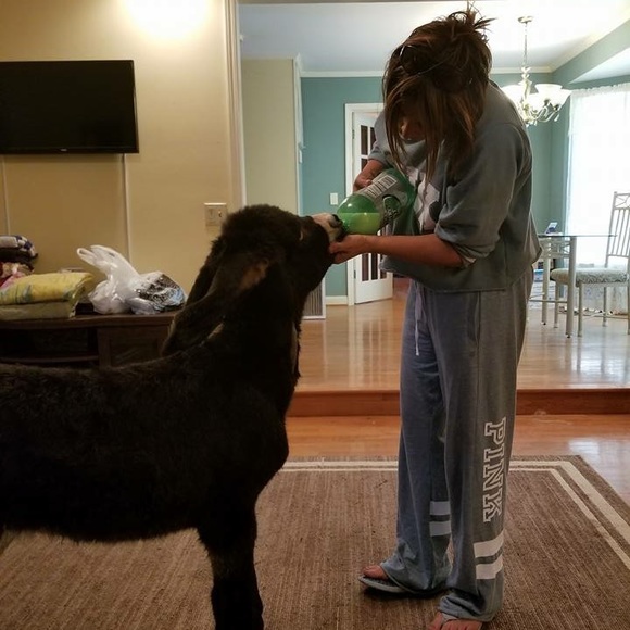 Meet your Posher, Amber - Picture 7 of 8